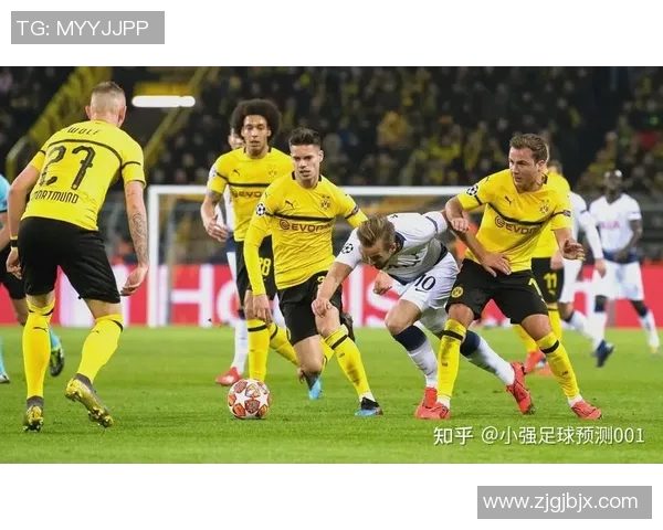 汉堡主场惨遭多特蒙德逆转德乙无缘升级梦碎 汉堡主场惨遭多特蒙德逆转德乙无缘升级梦碎